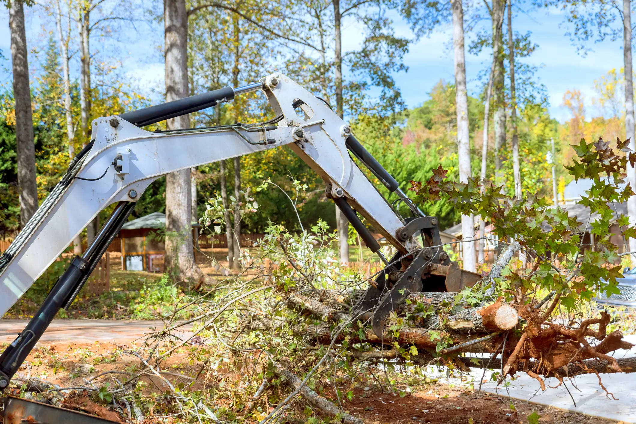 Excavator bucket lifting freshly cut tree limbs and a small uprooted trunk during residential tree removal in a leafy Eastern Iowa yard, illustrating emergency tree removal and storm cleanup services