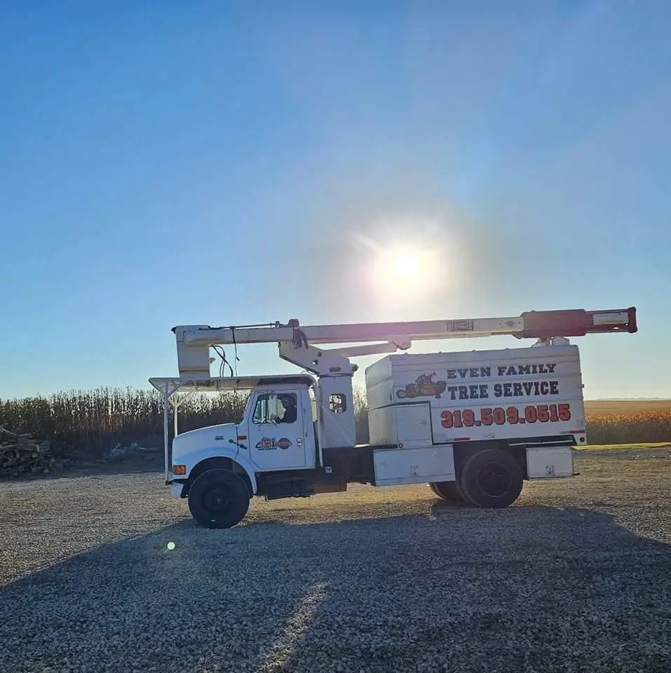 Even tree pic truck `